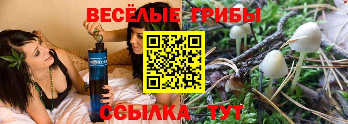 Петропавловск-Камчатский  закладки  Псилоцибиновые грибы Psilocybine cubensis  Вход с VPN  Псилоцибиновые грибы Magic Shrooms 