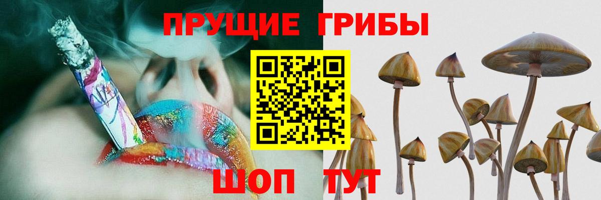 Псилоцибиновые грибы GOLDEN TEACHER Петропавловск-Камчатский